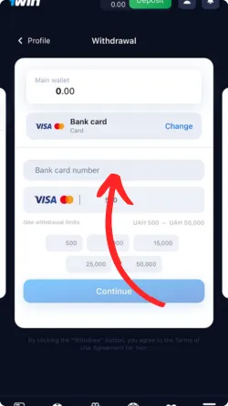 Provide Revolut Card Details the Withdrawal Amount