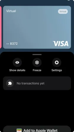 Use Your Revolut Card Details